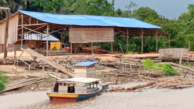 Sawmil di Desa Limbung Kabupaten Kubu Raya