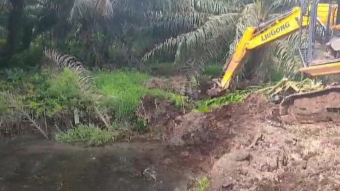 Kebun Kelapa Sawit PT Ichiko di Desa Kubu