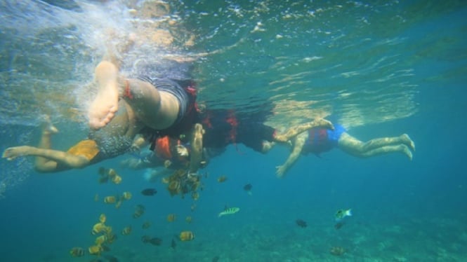 Keindahan alam bawah air Pantai Amed