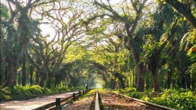 Pesona Lorong Negeri serupa pemadangan dalam kisah dongeng