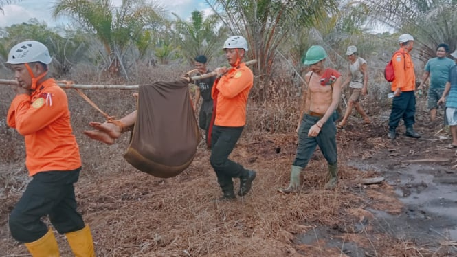 Tim Basarnas Pontianak Mengevakusi Rama Riani Yang Hilang di Hutan