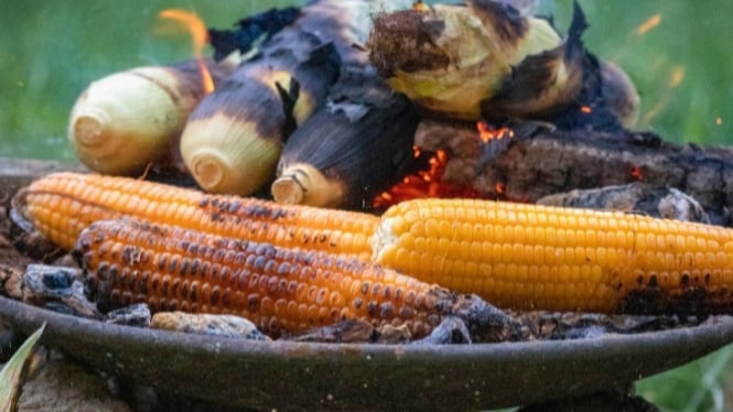 Jagung Bakar Enak dan Empuk