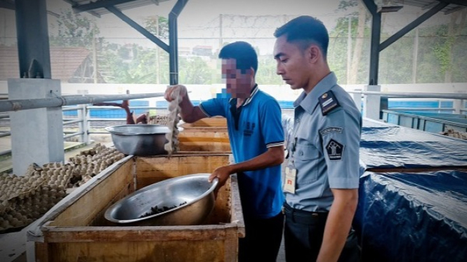 Petugas Lapas Cibinong bekali napi program budidaya jangkrik