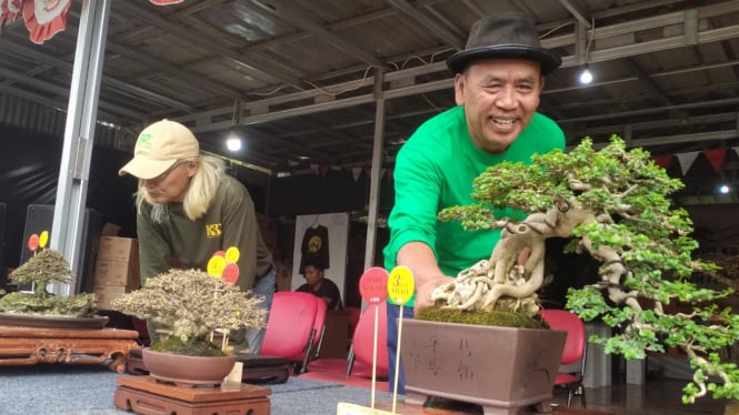 Lomba bonsai di K3D Kota Depok