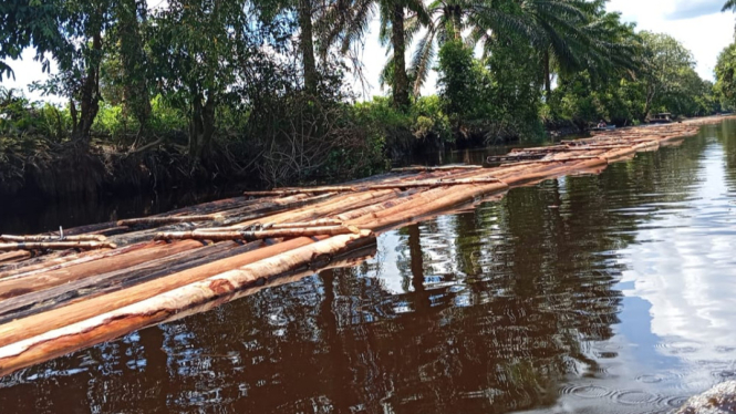 Ribuan Kayu Diduga Ilegal Logging di Sungai Desa Permata Jaya