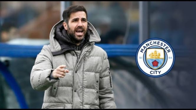 Potret Cesc Fabregas