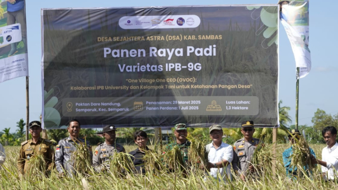 IPB bersama PT Astra panen padi varietas di Sambas Kalbar