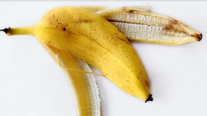 Khasiat pupuk organik cair dari sampah kulit pisang