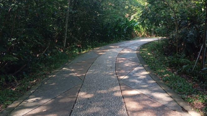 Area Taman Digulis Untan Pontianak di Jalan Ahmad Yani
