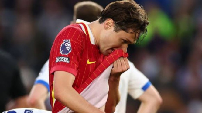 Potret Federico Chiesa