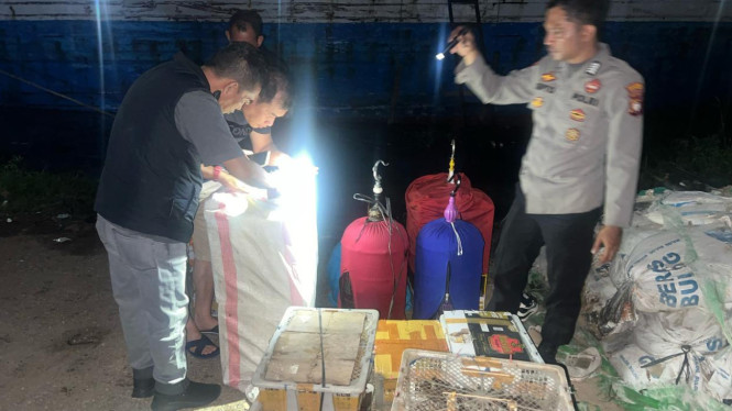 BKSDA bersama Polsek Utara amankan satwa dilindungi