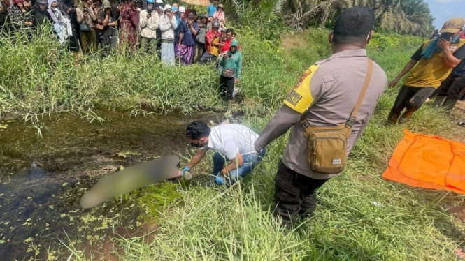 Polres Kubu Raya Evakuasi Penemuan Sosok Mayat di Kebun Sawit