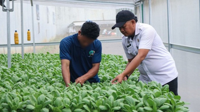 Program ketahanan pangan di Lapas Cibinong
