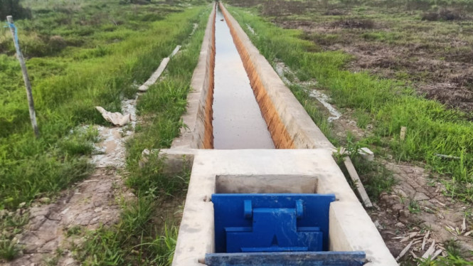 Proyek P3-TGAI di Desa Banyu Abang, Kabupaten Kayong Utara