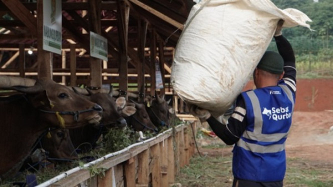 Human Initiative (HI) membuka program Flash Sale Qurban