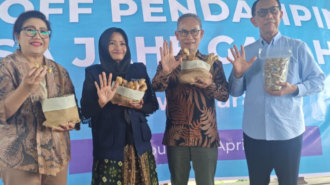 Jahe gajah hasil para petani di Sukabumi siap tembus pasar Eropa