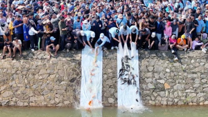 2 ton ikan dilepas dalam tradisi Ngubek Empang di Lebaran Depok