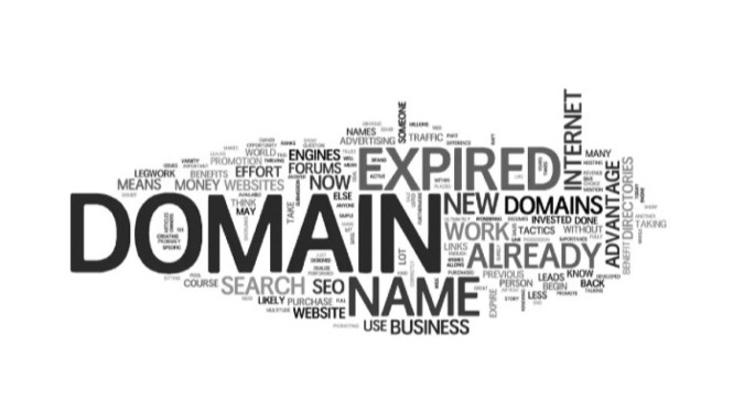 SEO Caption: Aged domain masih jadi aset penting SEO.