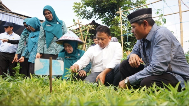 Wali Kota Depok mendorong program Kampung Cabai di setiap RW.