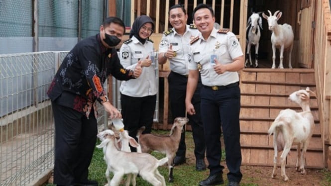 Peternakan kambing di Lapas Cibinong