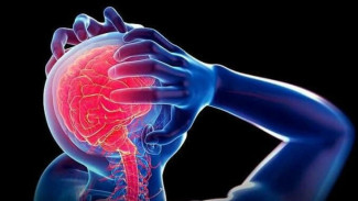 Bukan Sekadar Ketakutan Netizen: Penelitian Menjawab Isu Kerusakan Otak