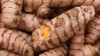7 Alasan Kenapa Air Kunyit Jadi Minuman Sehat Favorit di Oktober 2025!