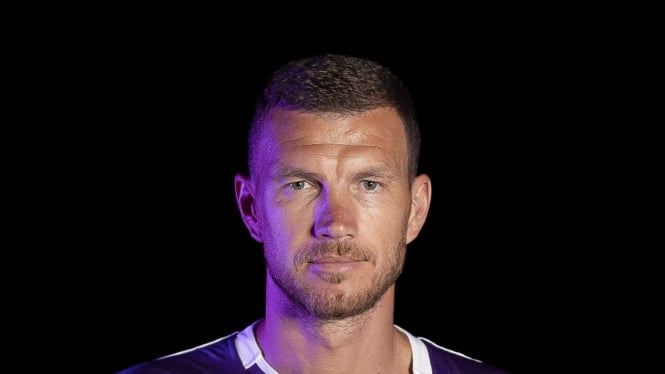 Edin Dzeko, Pemain baru Fiorentina