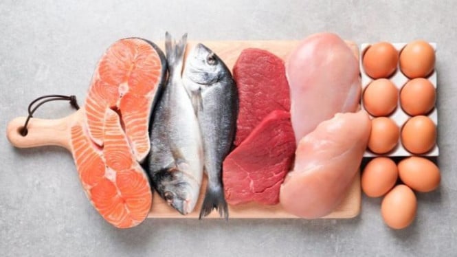 Ilustrasi Protein