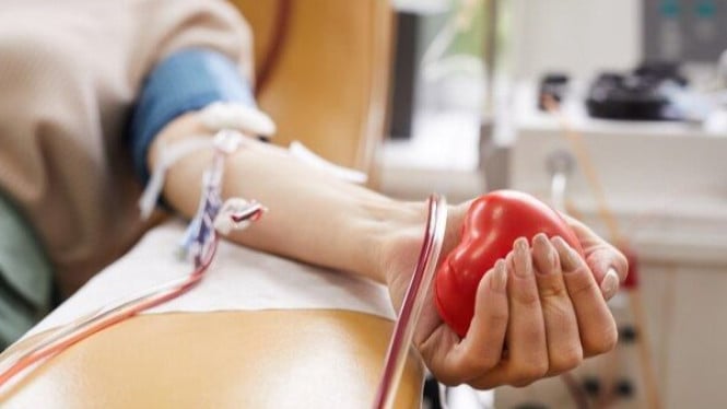 Donor Darah