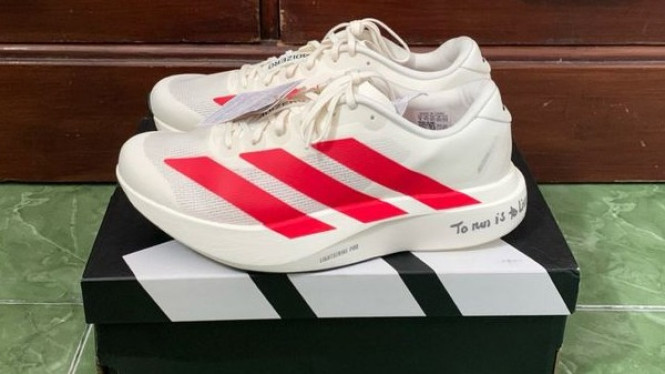 Sepatu Sport