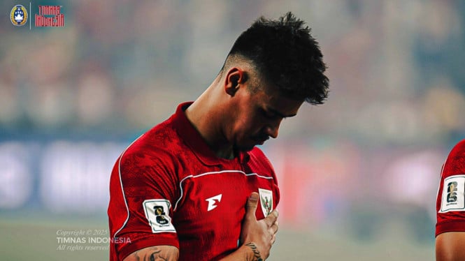 Bek Timnas Indonesia, Mees Hilgers