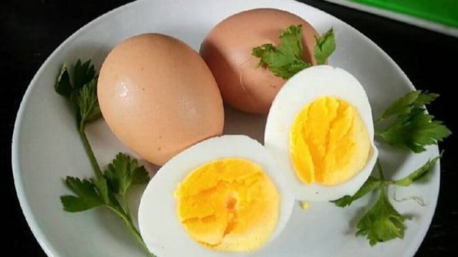 Ilustrasi Telur