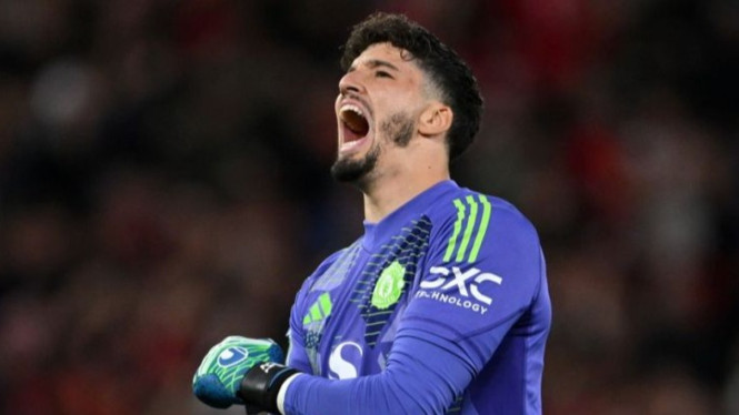 Altay Bayindir
