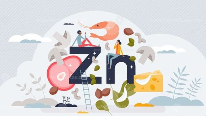 ilustrasi zinc