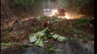 Pemprov Sulsel Kerahkan Tim Bersihkan Material Longsor di Jalanan