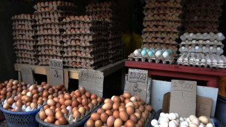 Temukan Penyebab Utama Harga Telur Meroket, KPPU Makassar Prediksi Juli Kembali Stabil