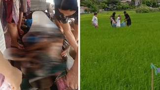 Warga di Jeneponto Geger, Mayat Ditemukan Tergeletak di Kolong Gubuk Rumah Persawahan