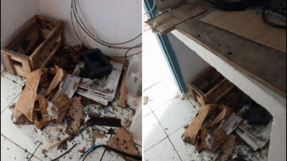 DARURAT! Alat Deteksi Bencana Gempa dan Tsunami Milik BMKG di Sidrap Sulsel Digasak Pencuri