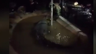Buaya 4 Meter yang Diklaim Keluarga: Antara Ritual, dan Petaka