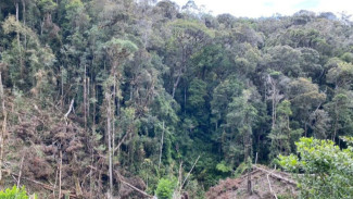 Perusakan Hutan di Sulawesi Selatan: Ancaman Serius bagi Pasokan Air Bersih