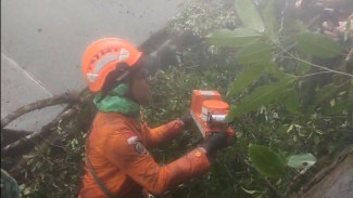 Black Box Pesawat ATR dari Bulusaraung Akan Diserahkan ke KNKT untuk Investigasi