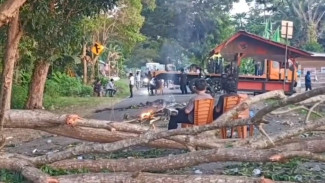 Ratusan Kendaraan Tertahan di Trans Sulawesi Luwu, Aksi Pemekaran Berlanjut