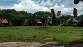 Ketika Masyarakat Adat Gugat Hukum Kebijakan Bupati Toraja Utara