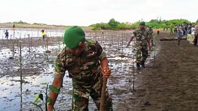 TNI-Polri Tanam 1.200 Mangrove Di Sinjai