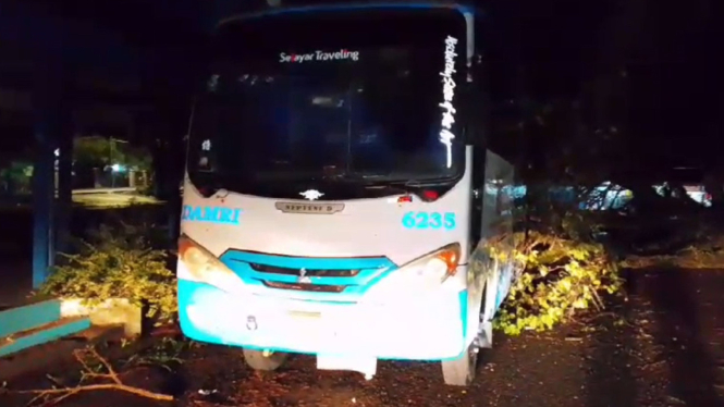 Mobil Damri di Kabupaten Sinjai, Sulsel tertimpa pohon tumbang