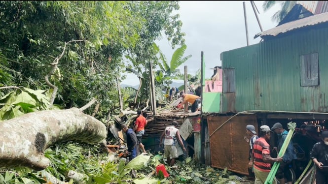 Rumah rusak ditimpa batang pohon sukun