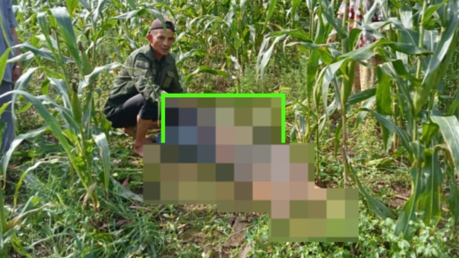 Korban Nassa Daeng Tompo Ditemukan Tak Bernyawa di Kebun Jagung