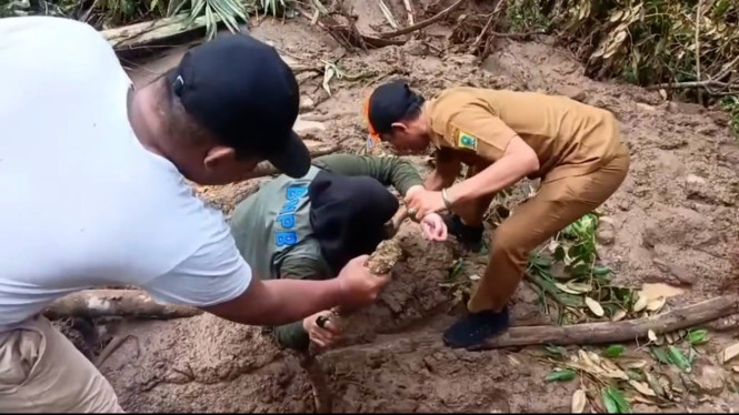 Petugas BPBD dievakuasi usai terperosok longsor