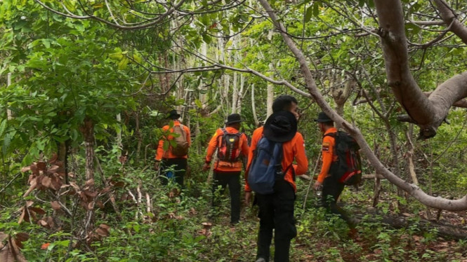 Basarnas Lanjutkan Pencarian Lansia Tersesat di Hutan Alasa Selayar