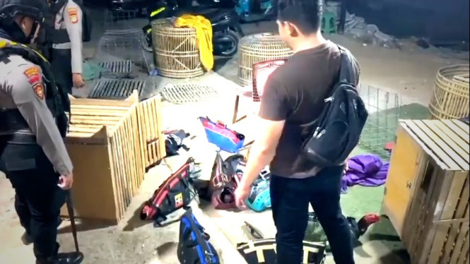 Barang bukti arena dan perlengkapan sabung ayam diamankan